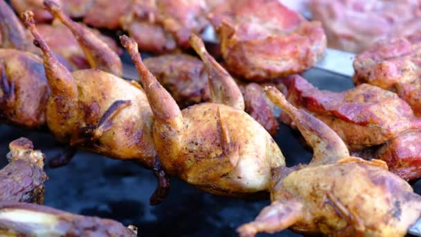 Близький погляд на добре приготоване м'ясо перепелів на шампурах, що лежить на мангалі — стокове відео