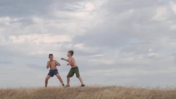 Una visión de los niños, aprendiendo a luchar en un campo — Vídeos de Stock