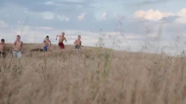 Een weergave van kinderen, concurreren in rijklare in een veld met gele gras — Stockvideo