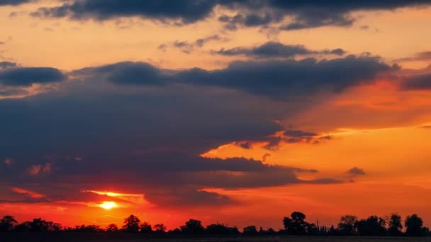 Puesta de sol sobre árboles lejanos. Plazo de entrega , — Vídeos de Stock