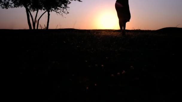 A silhouette of a young beautiful woman walking on a glowing grass towards the setting sun — Stock Video