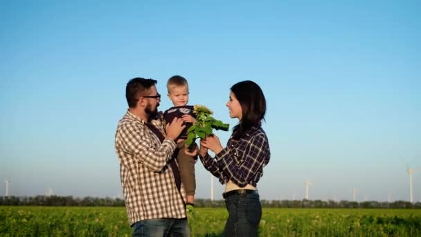 Los padres cariñosos juegan con su hijo en un campo. El padre sostiene al niño en las manos, mientras que la madre le muestra un girasol. Movimiento lento — Vídeo de stock