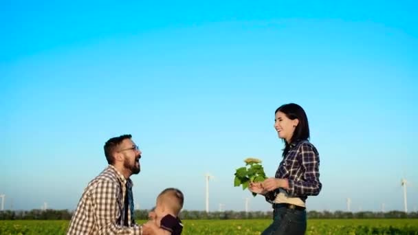 Los padres cariñosos juegan con su hijo en un campo. El padre agita al niño mientras la madre los mira con amor. Movimiento lento — Vídeos de Stock