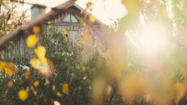 A fachada de uma casa rural com uma chaminé no fundo de folhas de outono e luz solar . — Vídeo de Stock