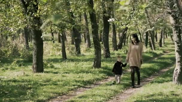 Lycklig kvinna med son promenader i höstparken — Stockvideo