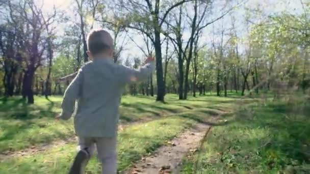 El niño corre hacia los brazos de la madre, sus brazos se abren divertidos . — Vídeo de stock