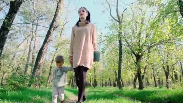 Madre alegre con niño jugando en el parque de otoño. Hermosa mujer sosteniendo a su hijo al aire libre — Vídeos de Stock