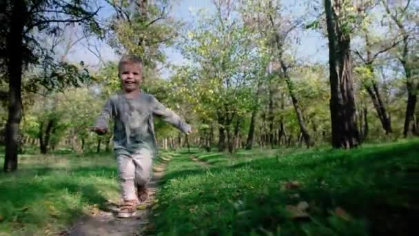 A 3-4 éves fiú egy erdei ösvényen fut.. — Stock videók