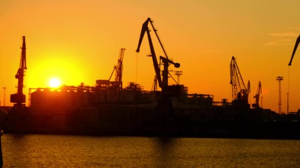 Bellissimi tramonti nel porto commerciale del mare. Gru a portale nel porto marittimo al tramonto del giorno . — Video Stock