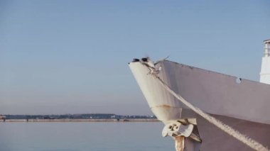 İp üzerinde oturan iki martı. üçüncü martı ip uçtu. gemi ile ip bağladılar. Slow motion video