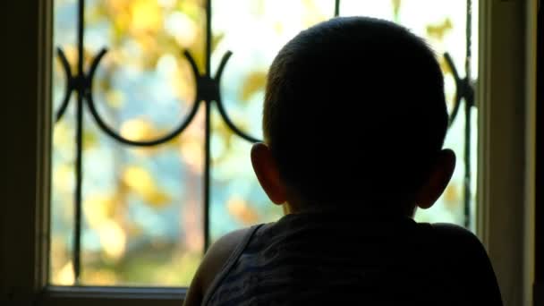 El chico tiene 3-5 años fuera de la ventana con una celosía — Vídeos de Stock