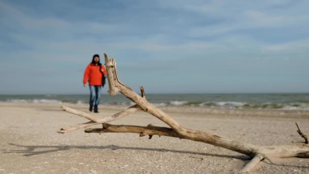 Turista v zářivě červené bundě a s velkým turistickým batohem chodí kolem suché větve ležící na opuštěné pláži zima u moře. — Stock video