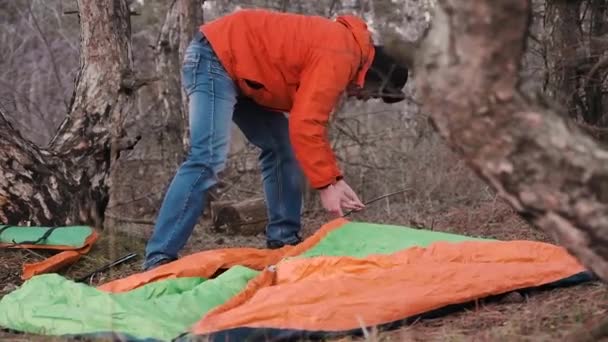 A lone tourist traveling through the pine forest sets up a tent for the night — Stock Video