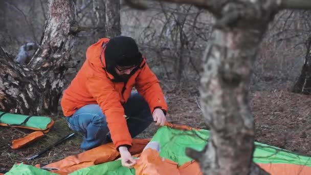 En ensam turist som reser genom tallskogen sätter upp ett tält för natten — Stockvideo