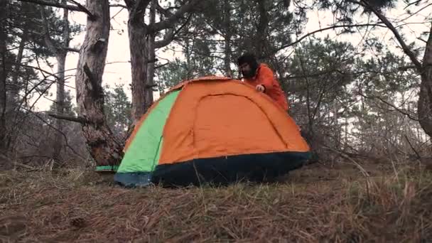 En ensam turist som reser genom tallskogen sätter upp ett tält för natten — Stockvideo