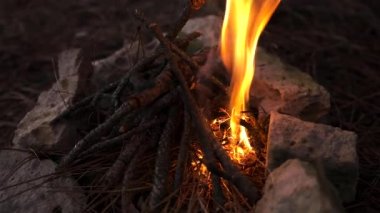Kamp Kamp yangın ormanda başladı. Yanma süreci şenlik ateşi, yapma. Doğa arka plan. Seyahat, macera. Orman açık havada akşam rahat.