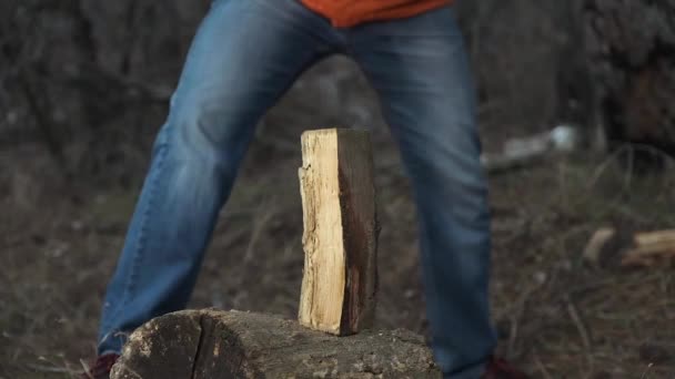 Człowiek kotlety drewna w lesie. Zwolnionym tempie — Wideo stockowe