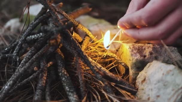 La mano masculina de cerca con la ayuda de un fósforo prende fuego al fuego de las ramas de abeto. Fondo de la naturaleza. Viaje, aventura. Acogedora noche en el bosque al aire libre . — Vídeo de stock