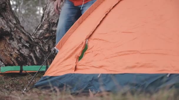 Мужчина ставит туристическую палатку в лесу — стоковое видео