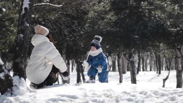 Мама и маленький сын играют в снежки и рвут снег — стоковое видео
