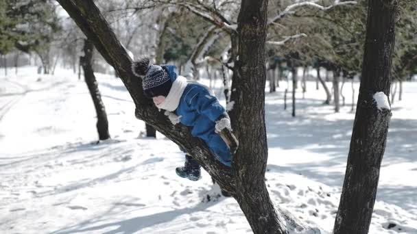 Um menino em um parque de inverno nevado sobe uma árvore e acena uma caneta na câmera — Vídeo de Stock