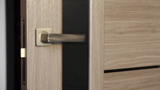 Interior doors with door handle — Stock video