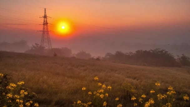 Salida del sol en el fondo de una línea eléctrica con niebla espesa. El lapso de tiempo. lapso de tiempo — Vídeos de Stock