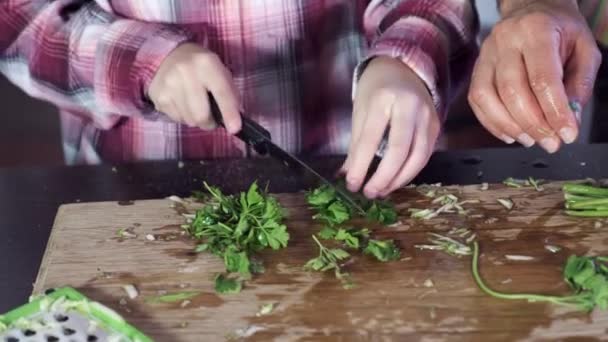 Menina está cortando salsa e endro com uma faca — Vídeo de Stock