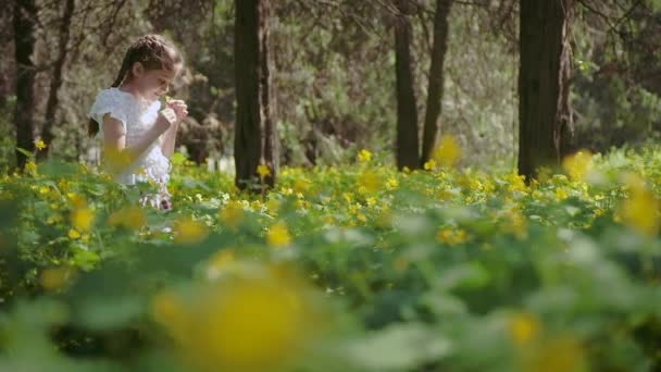 Een meisje dat 9 jaar oud is, alleen in het bos, beschouwt een bloem. — Stockvideo