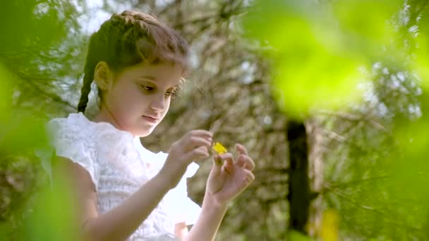 Mooi meisje van 9 jaar oud met staartjes in het bos tussen de prachtige natuur — Stockvideo
