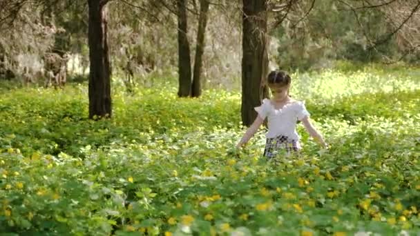 Een meisje van negen jaar oud loopt alleen door een prachtig bos — Stockvideo