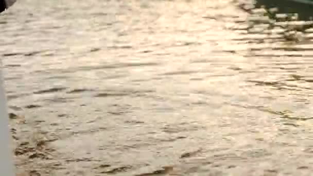 La mano de la niña en el agua de la fuente, juega en el agua y hace salpicaduras . — Vídeo de stock