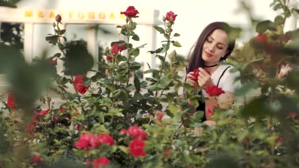 一个年轻女子在城市花坛里享受着美丽的玫瑰的味道。在背景女孩斯特拉与乌克兰城市梅利托波尔的名字. — 图库视频影像
