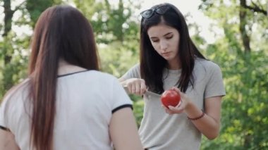 Doğanın ortasında genç kadınlar piknik için bir domates salatası hazırlamak.