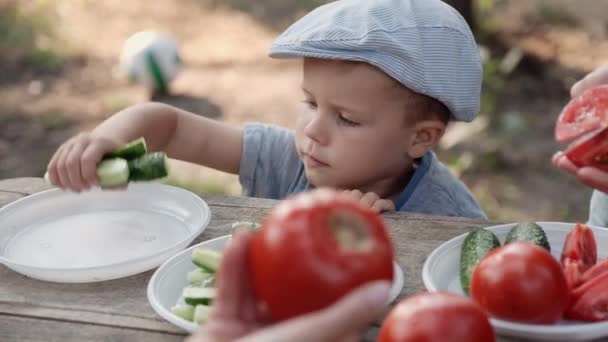 Un niño en medio de la naturaleza en un picnic saca pepinos de un plato con la mano de la mesa y se los come. . — Vídeo de stock