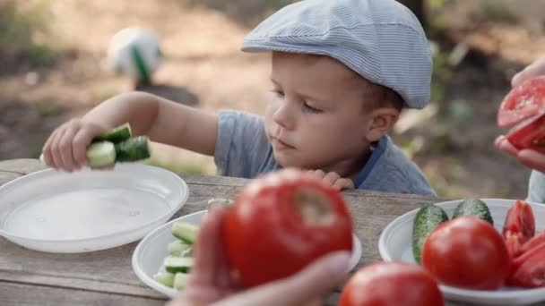 A child in the middle of nature on a picnic takes out cucumbers from a plate with his hand from the table and eats them. Stock Video