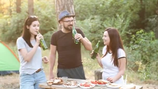 Счастливые друзья на пикнике поднимаются на вершину стеклянных бутылок, говорят тост и весело смеются . — стоковое видео
