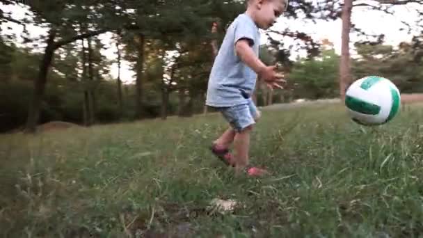 Erwachsene mit Kind spielen Fußball auf einer Waldwiese. — Stockvideo