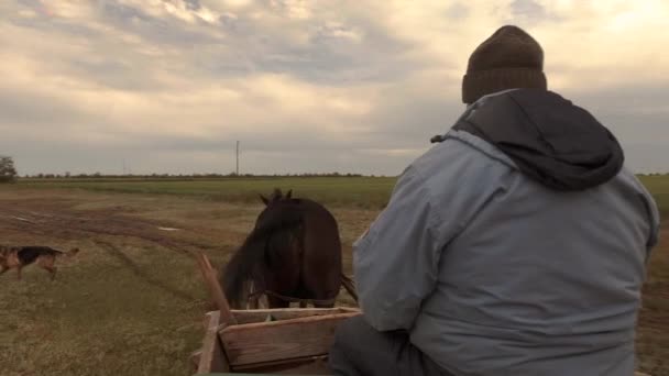 Un perro pastor corre junto a la carreta de los propietarios . — Vídeos de Stock