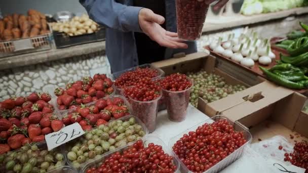 Man chooses currant and strawberries at open farmer market — Stock Video