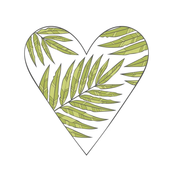 Сердце Тропические Листья Ладонь Изолированный Векторный Объект Белом Фоне Зеленый — стоковый вектор