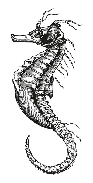 Plný Vektorové Ilustrace Ukázkou Vysoké Detaily Gravírování Seahorse — Stockový vektor