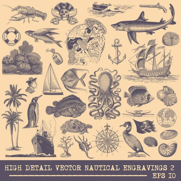 Full Vector Collection Original Illustrations Sea Life Nautical Related Objects — Stock Vector