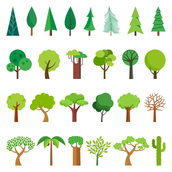 卡通树 简单平坦的森林植物 针叶树和落叶草甸树 橡木松树圣诞树隔离植物 农园及自然公园植物的病媒分布图 — 图库矢量图片