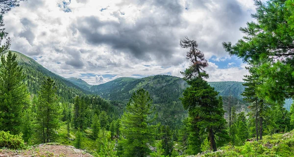 Panoramablick Auf Die Bergkette Mit Nadelwald Der Wilden Taiga Sibirien — Stockfoto