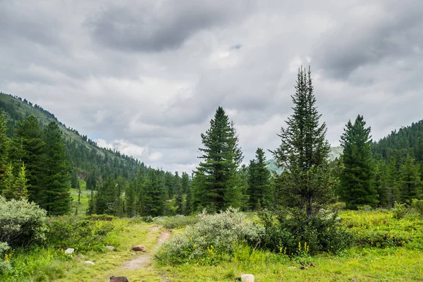 Schöne Aussicht Auf Bergkette Immergrüne Bäume Und Grüne Rasenfläche Mit — Stockfoto
