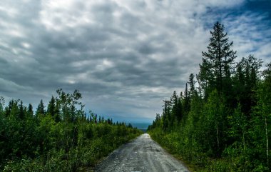 Fırtınalı havalarda gri bulutlu küçük kozalaklı ağaçlarla dağlık tepeye giden çakıl yolu.