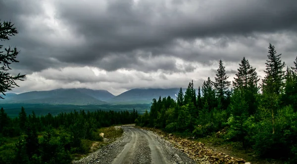 Štěrková Cesta Hřeben Hory Malými Jehličnatými Stromy Během Bouřlivého Počasí — Stock fotografie