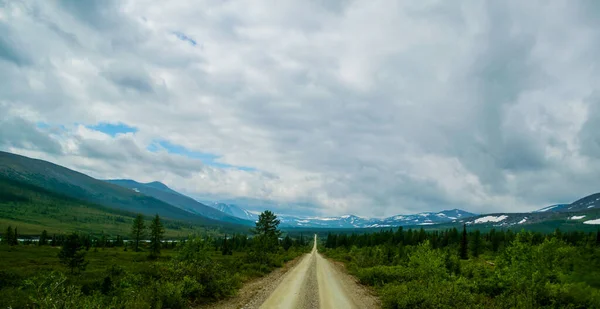 Gravel Road Mountain Ridge Small Coniferous Trees Stormy Weather Gray — Stock Photo, Image