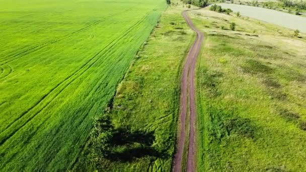 Paesaggio Vista Aerea Sulle Colline Con Prato Verde Strada Sterrata — Video Stock